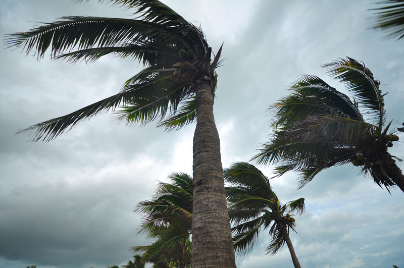 Protegiendo su hogar de Florida contra desastres